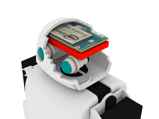 Developer Edition: Assembled Model