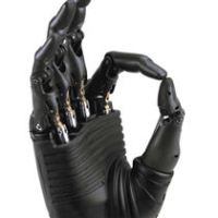 Bionic-hand